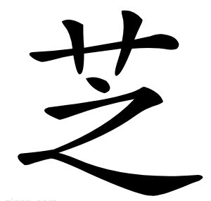 芝